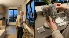 Orquídeas em casa: 3 ajustes no dia a dia que mudam o ambiente — e a floração